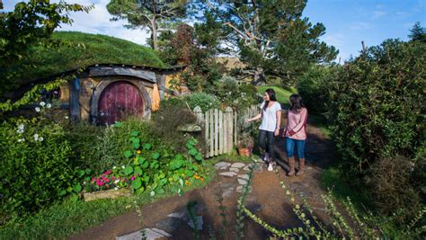 Hobbiton Tour from Auckland: Hobbiton Movie Set Tour - Auckland ...