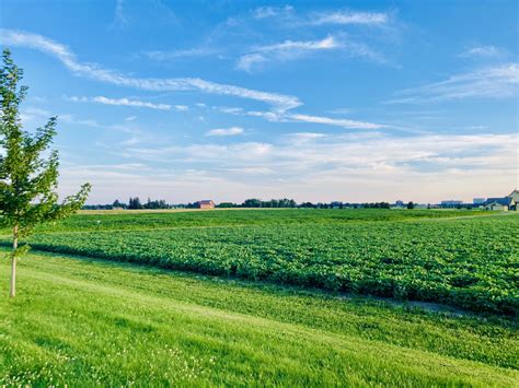 Image result for Writing Training