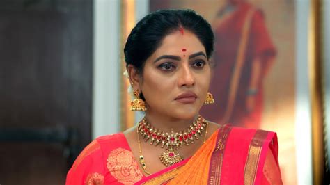 Karthigai Deepam TV Serial Online - Watch Latest Show Episodes on ZEE5