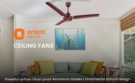 Buy Orient Electric 1400 mm Summercool| PSPO technology for powerful ...
