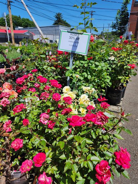 ENDICOTT AGWAY - Endicott NY - Hours, Directions, Reviews - Loc8NearMe