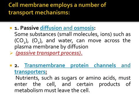 Image result for Cell Membrane Microscope Slides