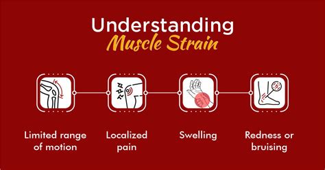 Dr. Ortho Ayurvedic Pain Relief Ointment for Muscle Strain and Joint P