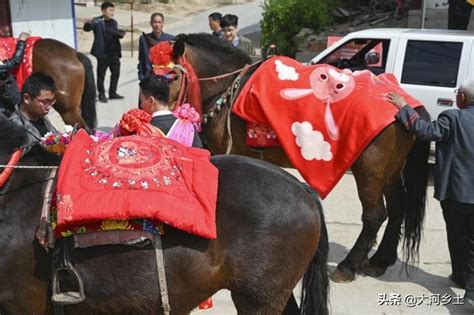 象州：村民“骑马赏花”，享受生态慢生活_来宾_广西壮族自治区农业农村厅