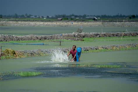 Transforming lives amidst environmental changes | IOM Bangladesh