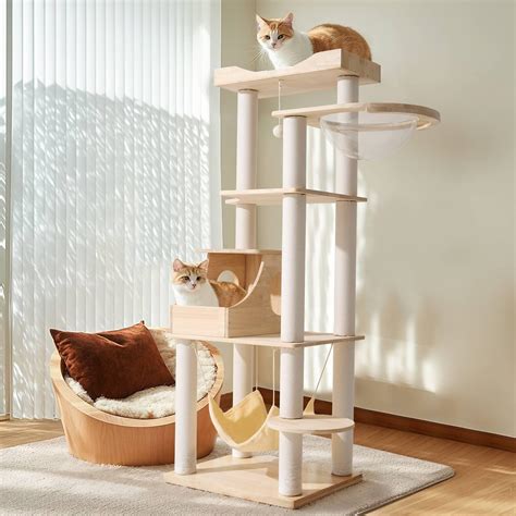 MAU Arbre à chat moderne pour grands chats, véritable branche en bois ...
