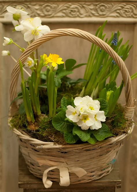 Image result for Spring Flower Baskets