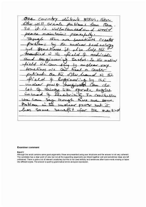 Academic Writing Essay Examples 的图像结果