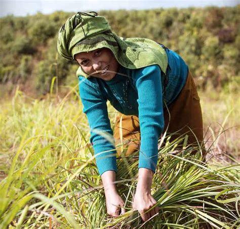 Impact Investing Firm | C4D Fund Management India | Impact Investor