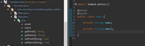 Image result for Java Prject Lombok