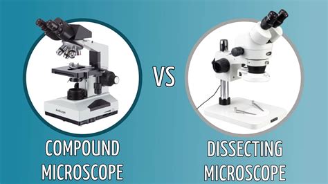 Image result for Compound vs Stereo Microscope