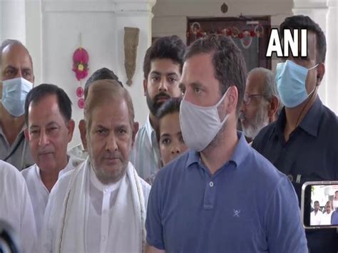 Rahul Gandhi runs Congress round-the-clock, should be made party chief ...