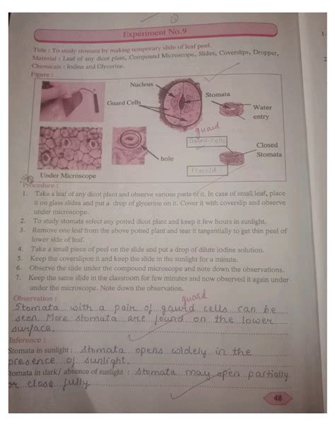 Image result for 9th Standard Science Second Assignment