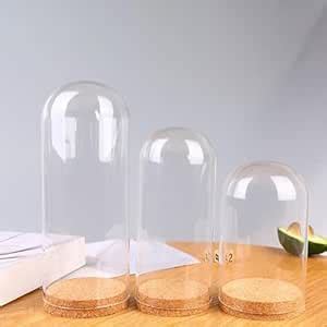 SECRET DESIRE Glass Dome Display Cloche Bell Jar Display Dome Case for ...