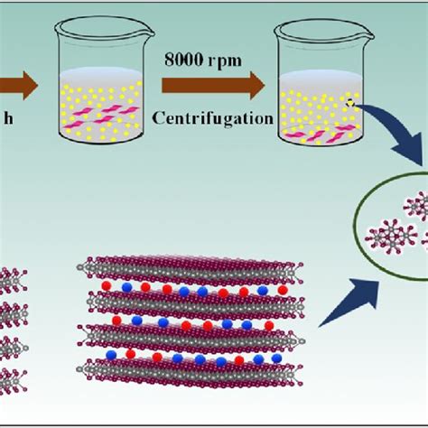 Rezultat imagine pentru MOS Formation