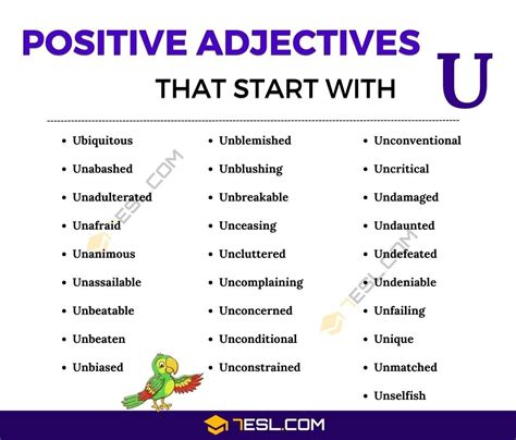 128 positive adjectives that start with u – Artofit