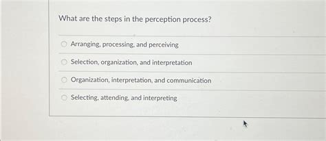 Perception Process Steps Image 的图像结果