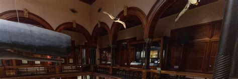 Bishop Museum Discount Tickets | Save with Go Oahu