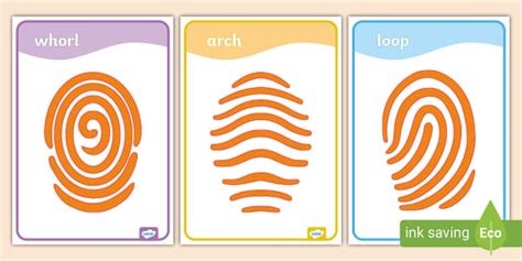 Image result for Fingerprint Patterns Worksheet