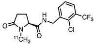 Spotlight on P2X7 Receptor PET Imaging: A Bright Target or a Failing Star?