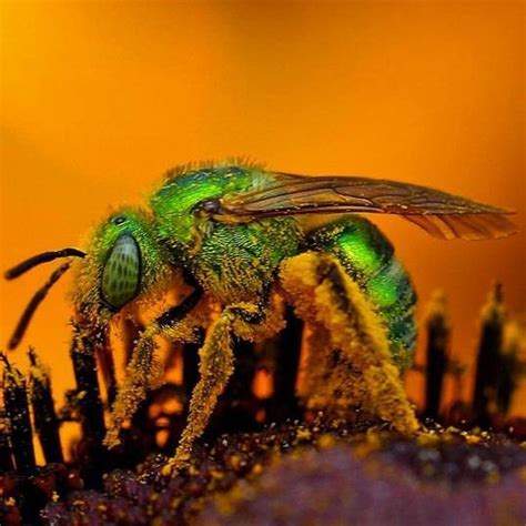 Cómo hacer fotos de alta resolución en 300 DPI - 3 pasos