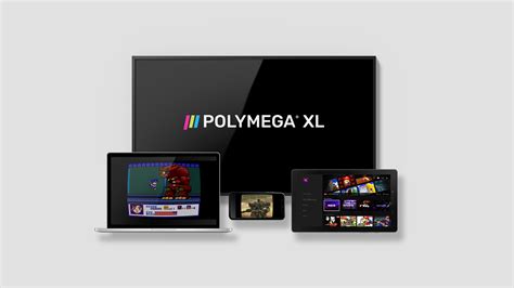Image result for Polymega Quick