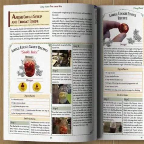 The Amish Ways - Survival Secrets That Will Forever Change Your Life ...