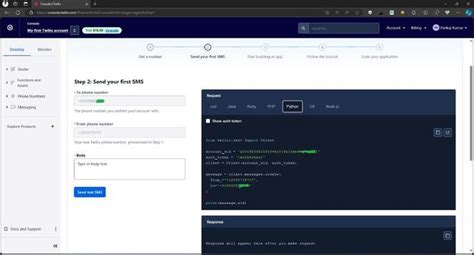 Python SMS API 的图像结果