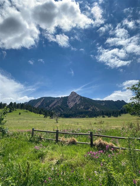 5 Ways to Celebrate the Summer Solstice. — Acupuncture in Boulder, CO