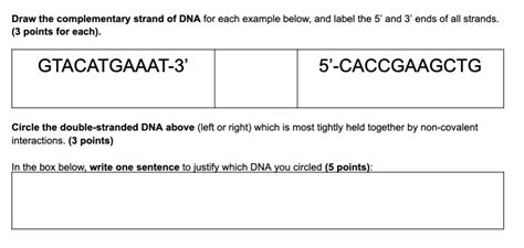 Image result for How to Make DNA Complementary Strands