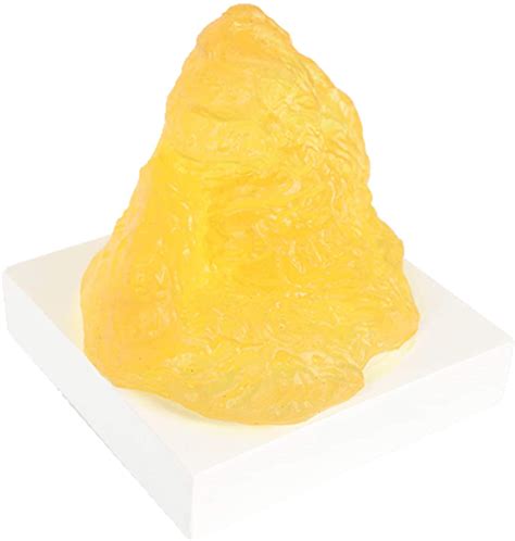 Buy Human Body Replica Model, Realistic Anatomical Model, Life Size ...