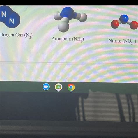 Is this ammonia a polar or non polar molecule - brainly.com