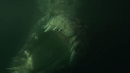 《逃亡鳄鱼岛》将上映 “巨型鳄鱼”申报吉尼斯-搜狐娱乐
