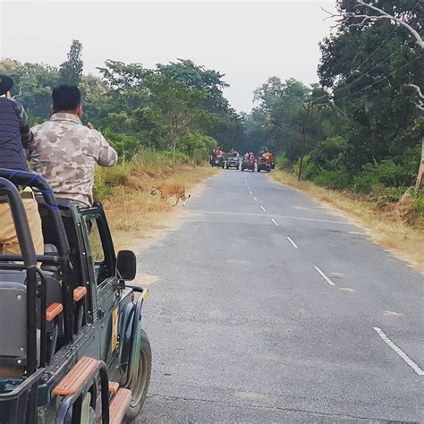 CORBETT TREAT RESORT (Dhela) - Hotel Reviews, Photos, Rate Comparison ...