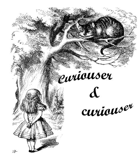 Image result for Curios Mod Minecraft