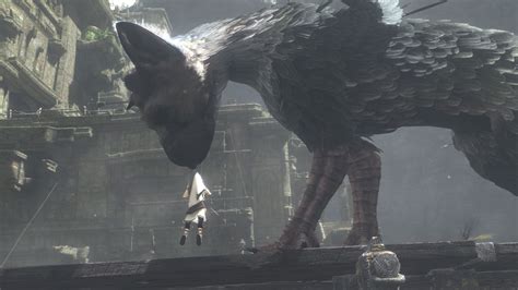 Trico The Last Guardian In Game - 3840x2160 Wallpaper - teahub.io