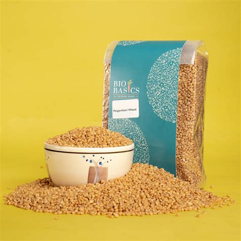 Buy Paigambari Wheat online – biobasics