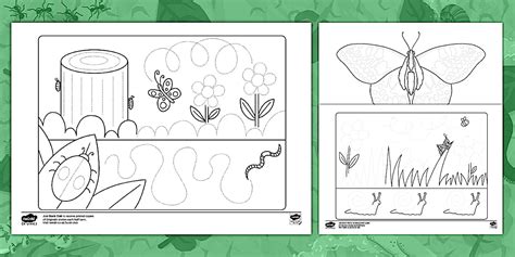 Minibeasts Pencil Control Sheets