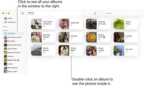 Create and work with albums in Photos on Mac - Apple سپورٹ (IN)