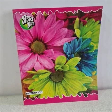 Notebook Writing 的图像结果