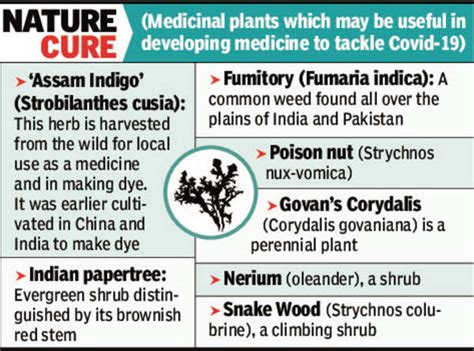 Bhubaneswar: NISER study identifies plant compound that may cure Covid ...