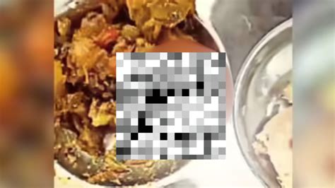 Bhopal University Canteen Serves Food with Dead Lizard; Staff Ate It to ...