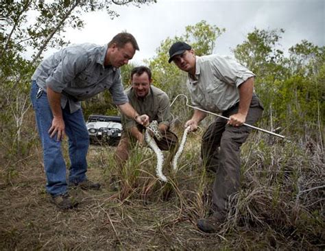 Image result for Python Hunters Bitten