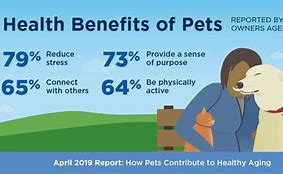 Image result for Pets and People