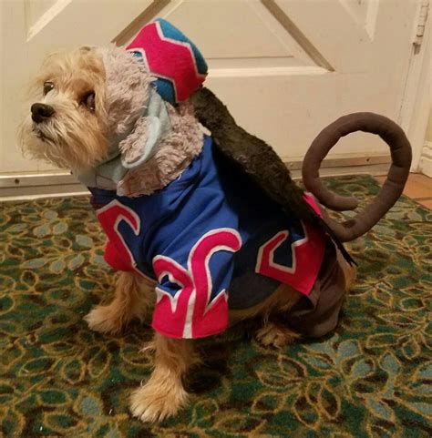 Flying monkey from Wizard of Oz. | Flying monkey costume, Diy dog costumes, Monkey costumes