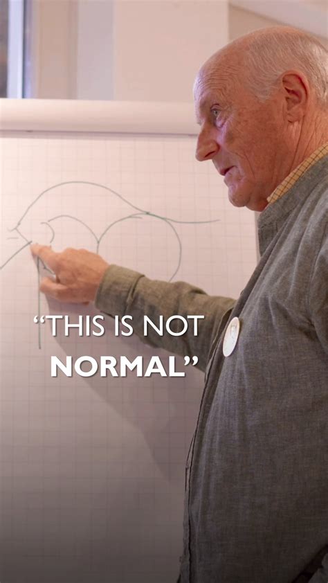 Are Horses Ruminants