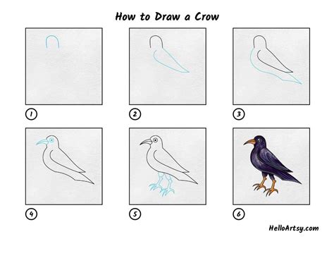 Image result for Crow Drawing Tutorial