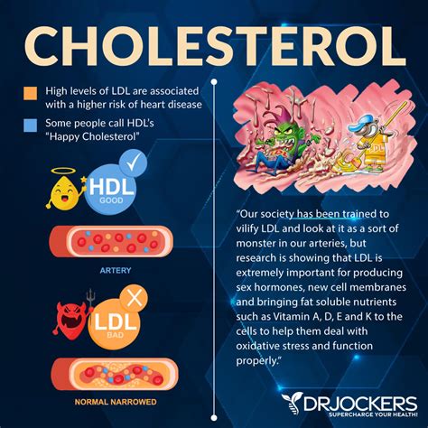 Episode #519: The Truth About Cholesterol and Heart Health - DrJockers.com