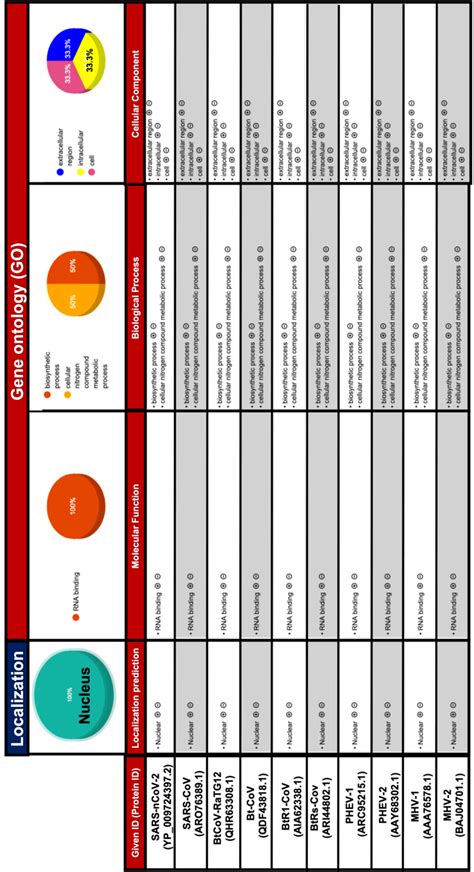 Go Annotation Tools 的图像结果