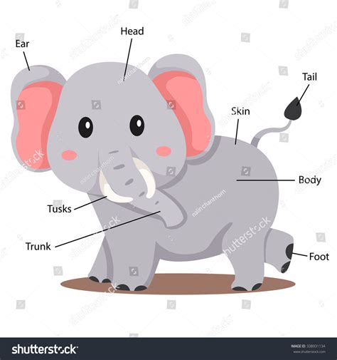 Illustrator Elephant Body Part Stock Vector (Royalty Free) 338931134 ...